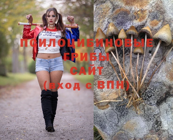 мескалин Армянск