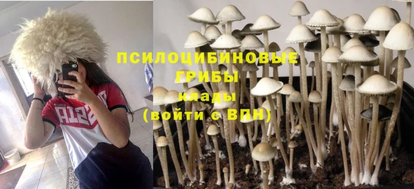 spice Аркадак