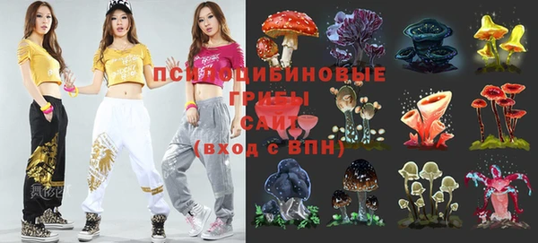 СК Арсеньев