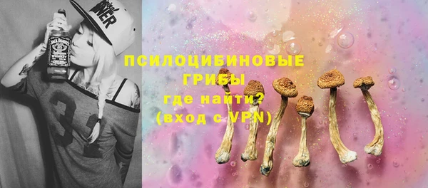 spice Аркадак
