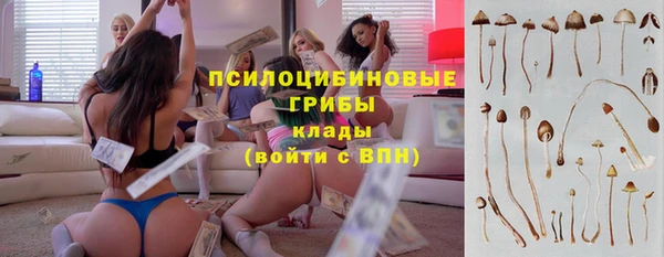 СК Арсеньев