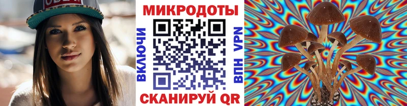 hydra как зайти  Калач  Псилоцибиновые грибы Psilocybe  где можно купить  