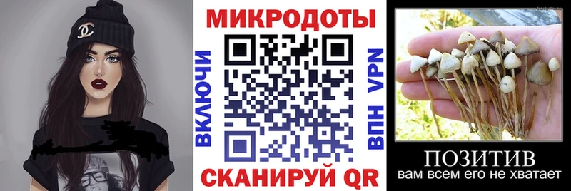 Галлюциногенные грибы мицелий Калач